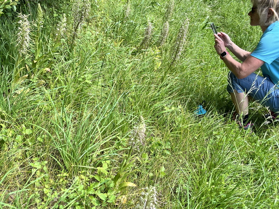 24-05-18 15-27-33 9467